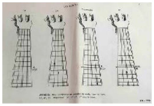 Desenhos de braços de viola com posições de acordes, de um método de viola caipira